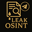 leakosint